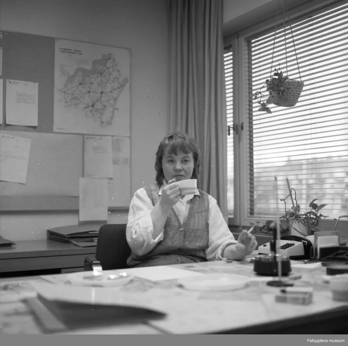 Britt Gustavsson, stadsarkitektkontoret.
