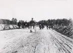 Fältövning, Kronobergs hed. 1890-tal.
Några officerare på hemväg längs en landsväg.