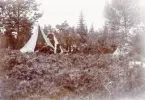 Bivack, trol. invid Helgasjön, 1901. 
Löjtnant E. Nerman (m.fl.) vid sitt tält.