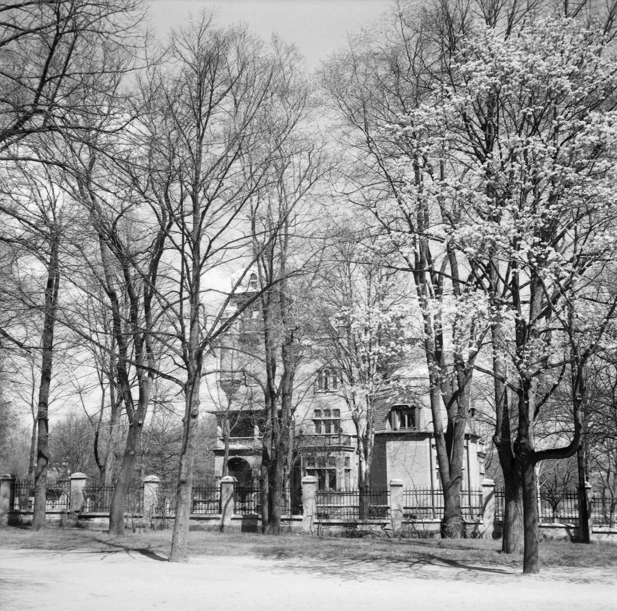 Villa Lusthusporten/ Wicanderska villan på Rosendalsvägen 3