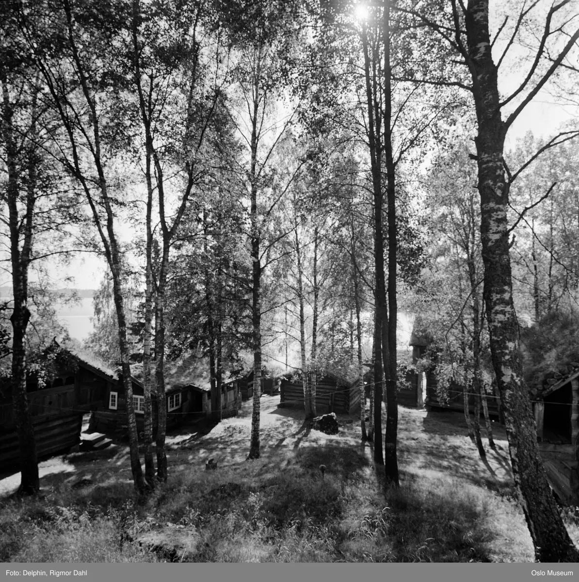 Bjørnsgard, tømmerhus