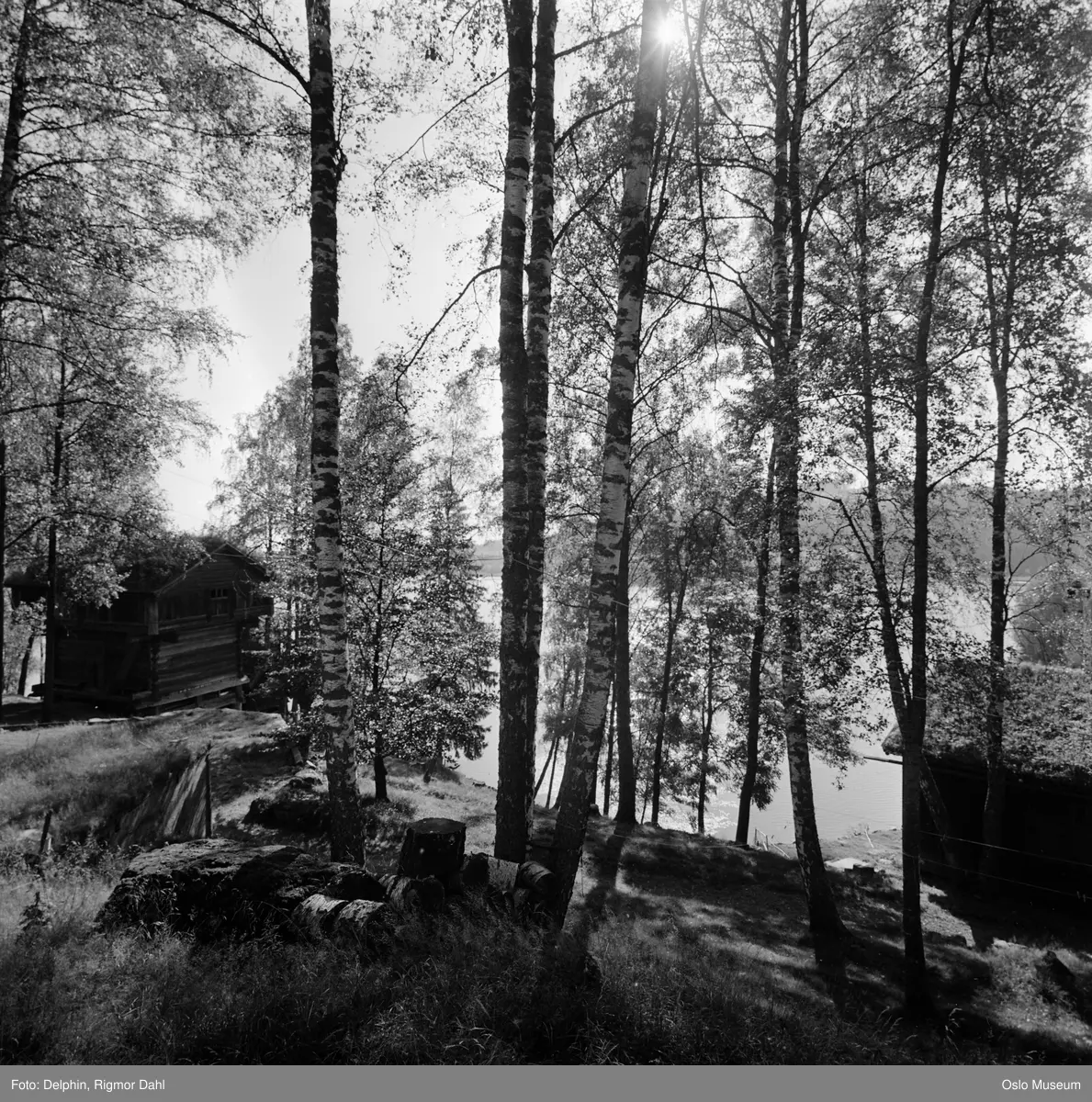 Bjørnsgard, tømmerhus
