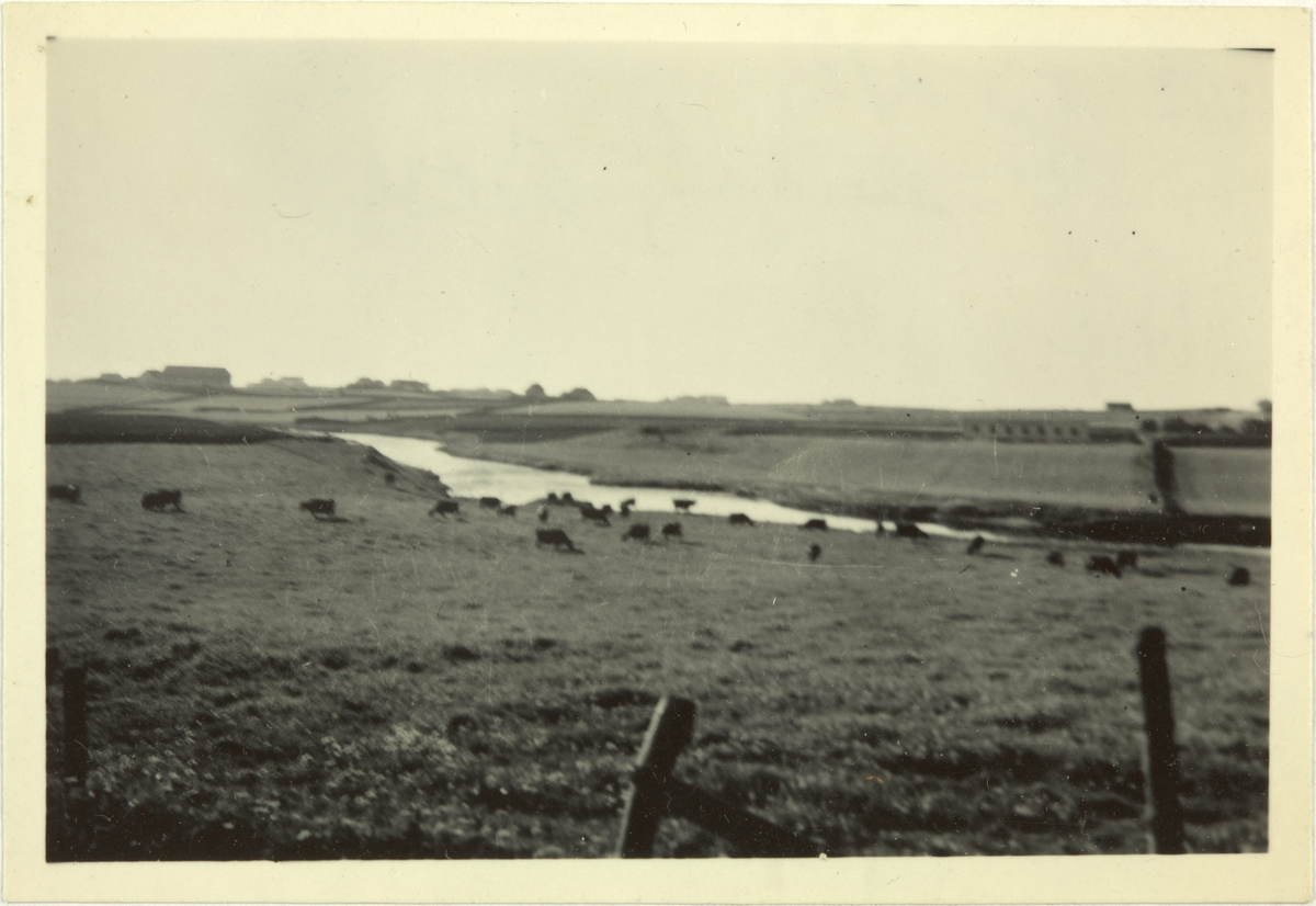 Jordbrukslandskap med ei elv. På baksida av fotoet står det: "Njærheim, Elvaneset fra Rv 44".