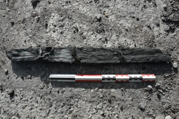 Rester av to vidjespenninger på en av brynesteinene