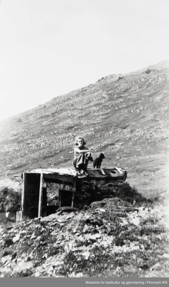 Honningsvåg. En dame med en hund sitter på en provisorisk hytte ved Elvedalen. Boligen var bebodd etter evakueringen.