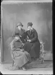 Studioportrett, kvinner oppstilt i fotostudio. Alle kvinnene