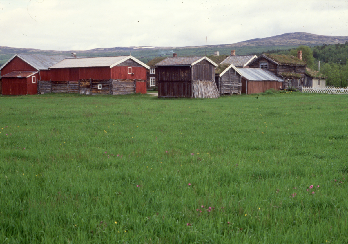 Gardsanlegg, sett fra sør