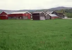 Gardsanlegg, sett fra sør