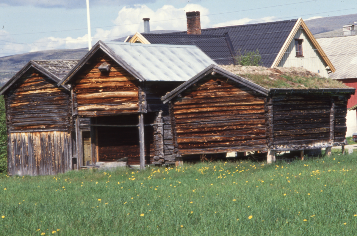 Gardsanlegg, sett fra sør