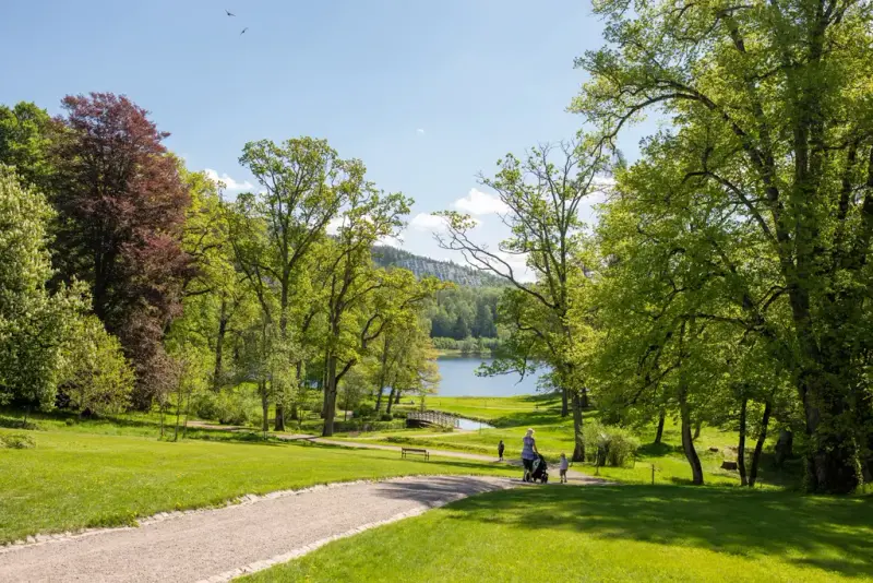 somme ri landskapsparken på Bogstad gård. 