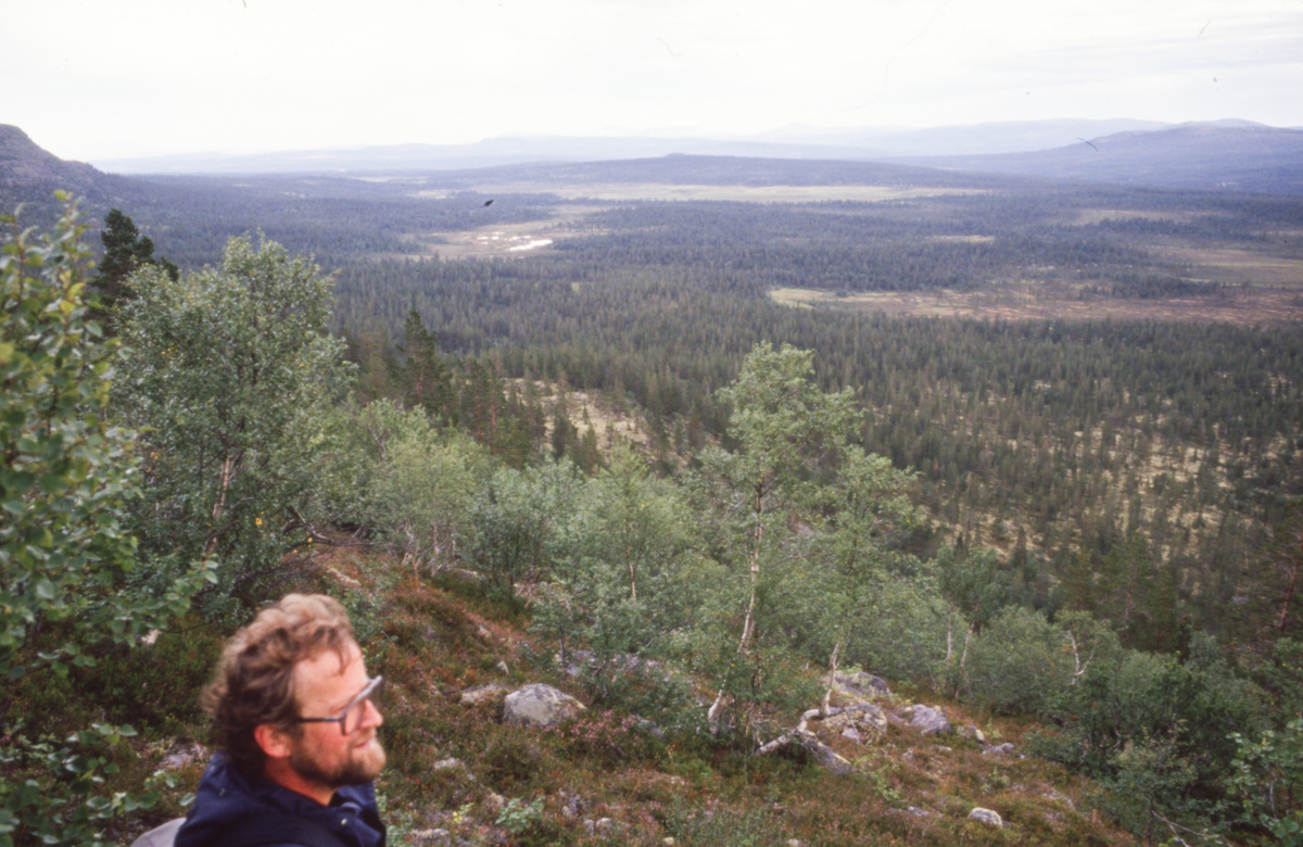 Per Hvamstad speider utover et rikt fjell- og skoglandskap