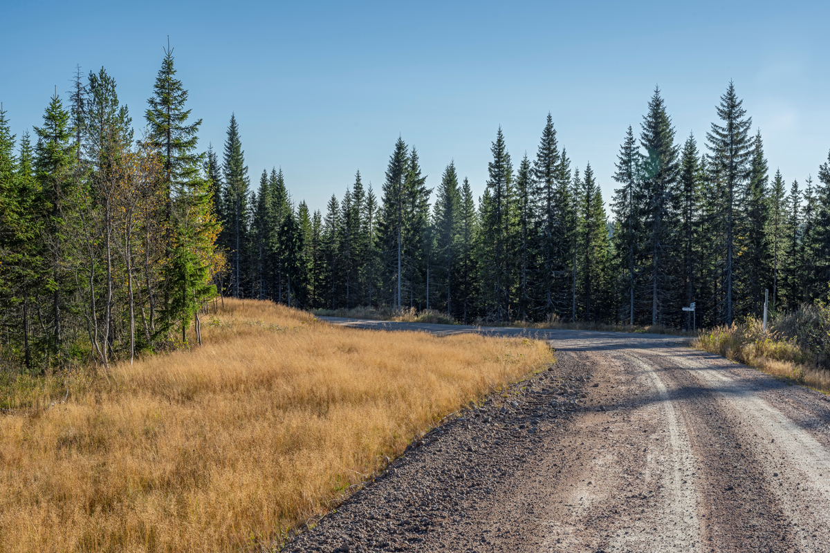 Veien som brukes til transport til og fra Kjølberget Vindkraftverk på Finnskogen, Våler kommune, Innlandet. Bildet er tatt ca en kilometer vest for anlegget. Da bildet ble tatt var det gått drøyt 6 år fra anleggsarbeidet startet, og den tidligere skogsbilveien som lå her ble kraftig oppgradert til anleggsvei i forbindelse med utbyggingen.
