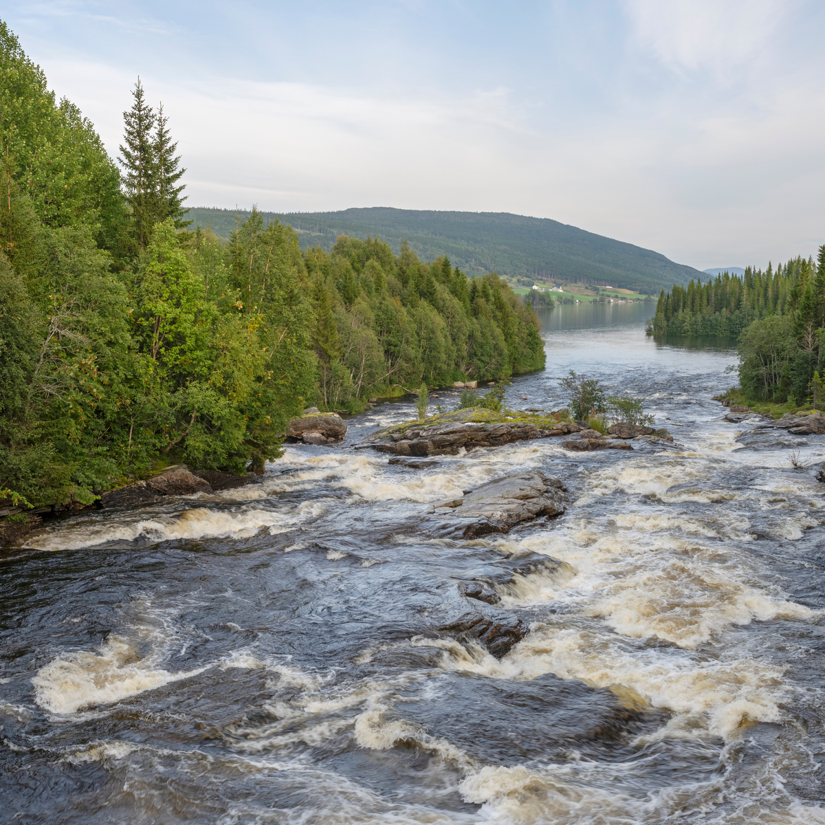 Lokkfossen i Holdelva, rett ovenfor der elva renner ut i innsjøen Lenglingen, Lierne kommune, Trøndelag.