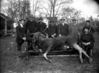 Hjärta jaktlag med en älgtjur på en kälke framför Hjärta mangårdsbyggnad.
Från vänster: Manfred Gustavsson, Hjärta; Elvin Gustavsson, Lilla Hjärta; Adolf Svensson, Lilla Hjärta; Adolf Björk, Hjärtafallet; Anton Bergström, Översta, Hallsberg; Albert Persson, Hjärta; Bertil Gustavsson, Örsta, Kumla. Sittande längst till höger fotografen Gustaf Ferdinand Hallberg, Svennevad.