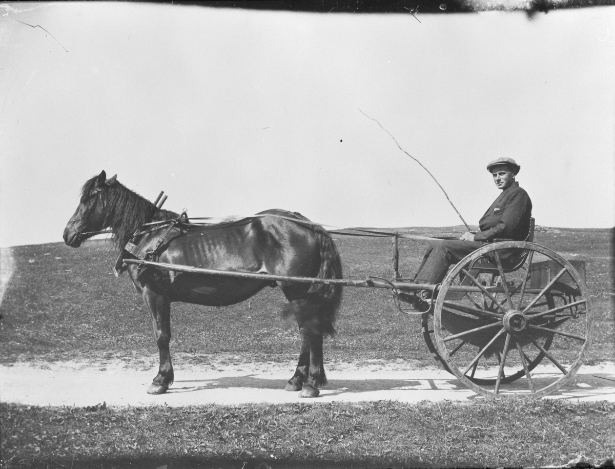Jens Johan Steen med hest og vogn, Asserøya, Vallersund