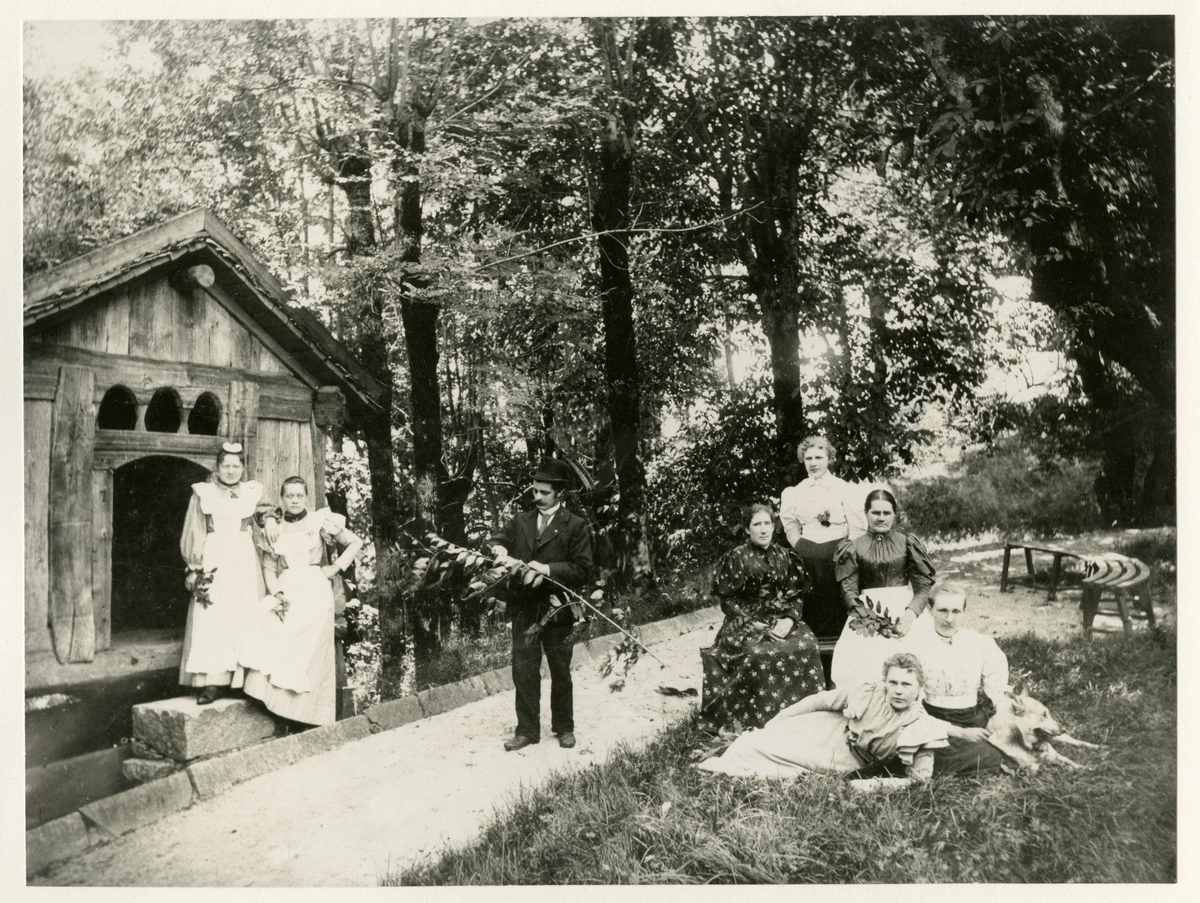 Tjenestefolk og gartner ved Ulefos Hovedgaard poserer i parken foran stabur

Fra venstre:

Lina Hansen (1874 - ), Anne Traaen (1875 - 1952), gartner Carl Frans Christensen/Stenhaug (1860 - ), Caroline Roberg (1864 - ), Inger Hansen (12.05.1855 - ), Martha Mathisen (Skien, besøøkende), Christine Pettersen (1869 - ), Anna Mahisen (Skien, besøkende)