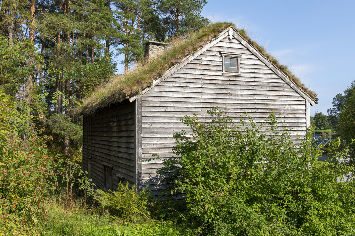 Borgund fri- og fattigskule, Borgund (Ålesund)