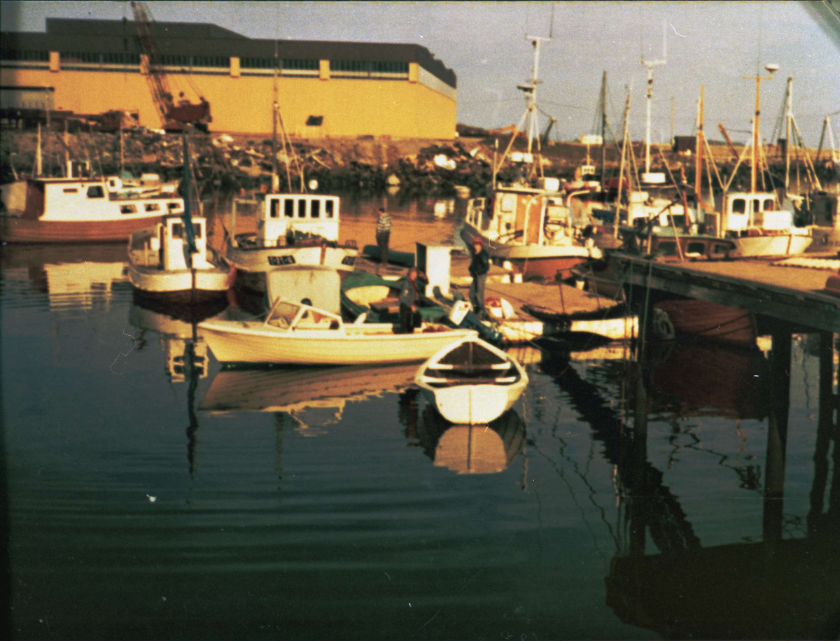 Båter på havna utenfor slippen til Danielsen Båtbyggeri.