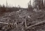 Uthyggning av eldgräns vid Prästvallen, Jämtland.