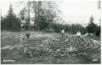 Kung Karl sn, Kungsör.
Rundelborg, början av 1900-talet.