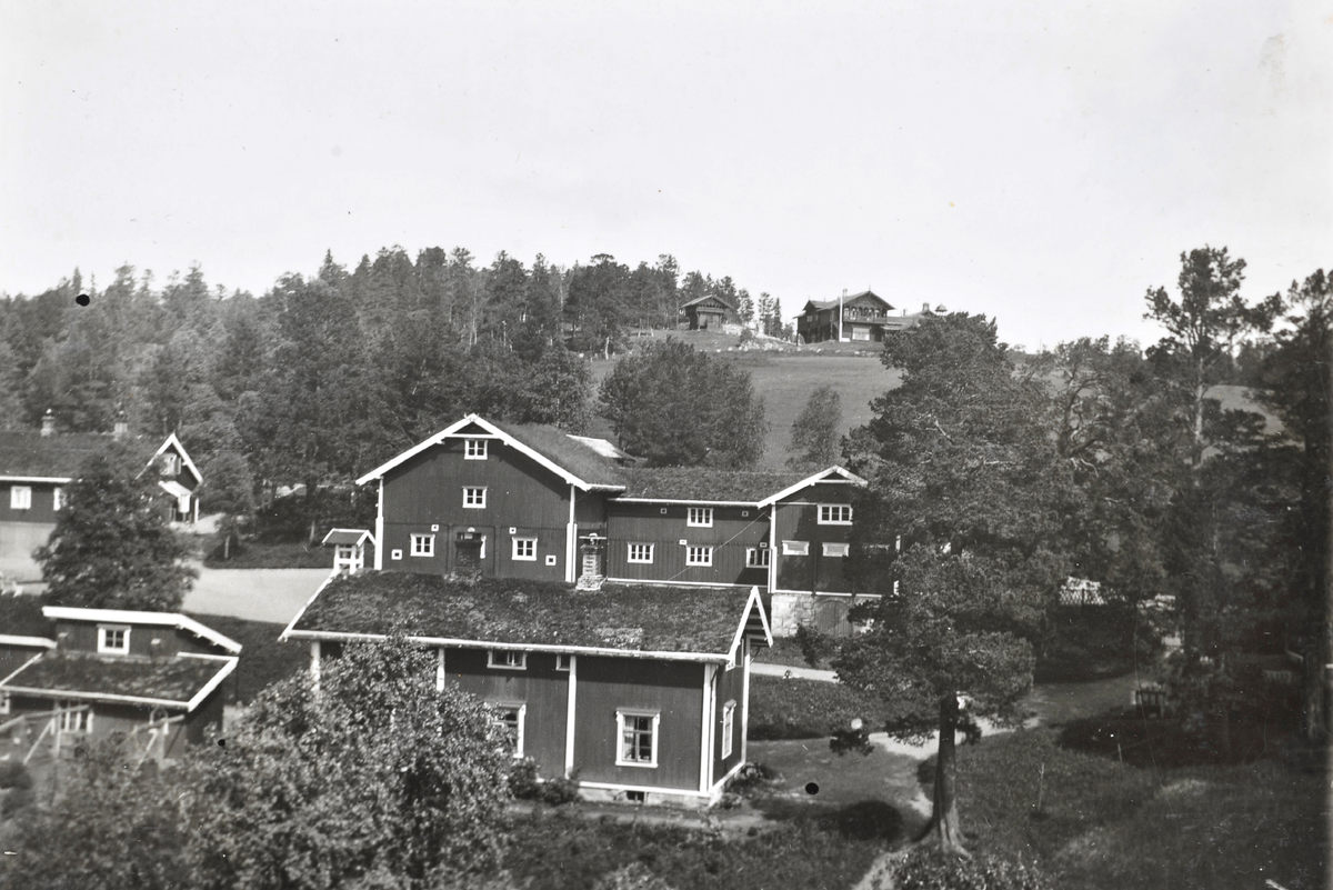 Prestbuan og Fjellheim