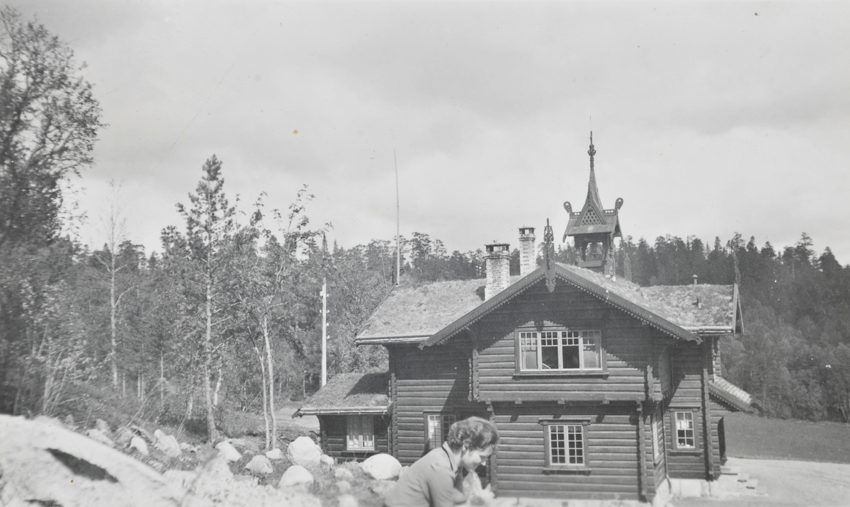Fjellheim