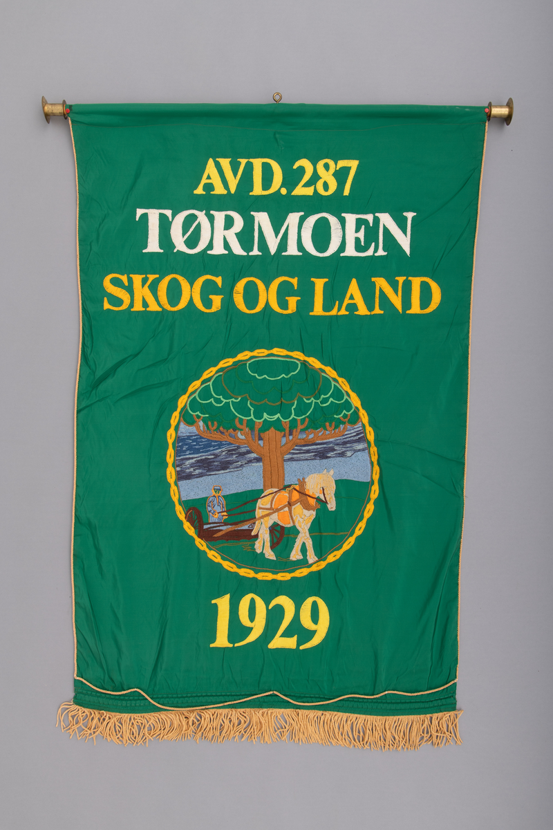 Fane, fagforeningsfane, som opprinnelig har tilhørt Tørmoen skog- landarbeiderforening (Tørmoen Skog og Land), avdeling  nr. 287 i Norsk skog- og landarbeiderforbund. Det antas at fana er utført i bomullsateng. Fanduken har grønn forside og bakside. Nederkanten på fana er utstyrt med gule (gullfargete) frynser, lags kanten er det påsydd en gul (gullfarget) snor. Øverst er fana utstyrt med en gjennomgående stang (rundstokk av tre), med en messinghylse i hver ende og øyeskrue av messing på midten. Faneduken henges på fangestanga i denne øyeskruen. Forstykket har brodert motiv og bokstaver i fargene: gult, hvitt, brunt, grått, grønt og oransje. Motivet på framsiden viser en hest som trekker et landbruksredskap og en kjørekar som styrer hesten. Bak hest og kjørekar er det et tre og en blå himmel. Motivet innrammes med en brodert "gullenke". Baksiden er dekorert med Norsk skog- og Landarbeiderforbunds "merke" som består av forbundets initialer N. S. L. F. i hvite bokstaver, en ljå, ei øks og en spade. Disse arbeidsredskapene er omkranset av en brun lenke som holdes sammen med en benningsbjønn (bendebjørn).