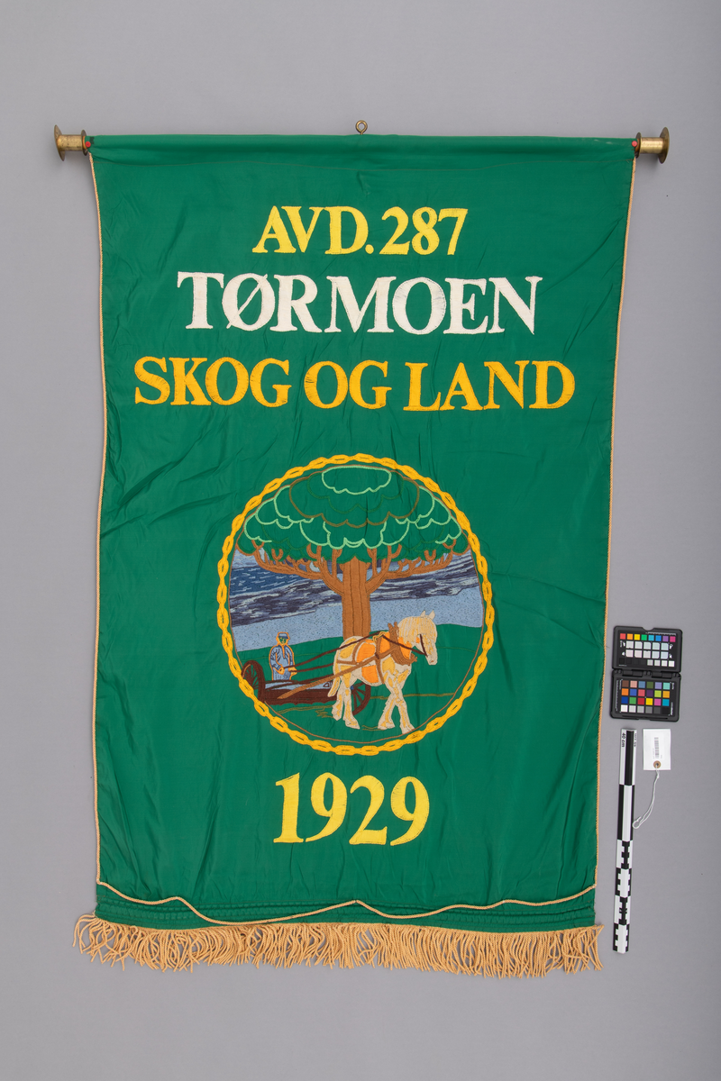 Fane, fagforeningsfane, som opprinnelig har tilhørt Tørmoen skog- landarbeiderforening (Tørmoen Skog og Land), avdeling  nr. 287 i Norsk skog- og landarbeiderforbund. Det antas at fana er utført i bomullsateng. Fanduken har grønn forside og bakside. Nederkanten på fana er utstyrt med gule (gullfargete) frynser, lags kanten er det påsydd en gul (gullfarget) snor. Øverst er fana utstyrt med en gjennomgående stang (rundstokk av tre), med en messinghylse i hver ende og øyeskrue av messing på midten. Faneduken henges på fangestanga i denne øyeskruen. Forstykket har brodert motiv og bokstaver i fargene: gult, hvitt, brunt, grått, grønt og oransje. Motivet på framsiden viser en hest som trekker et landbruksredskap og en kjørekar som styrer hesten. Bak hest og kjørekar er det et tre og en blå himmel. Motivet innrammes med en brodert "gullenke". Baksiden er dekorert med Norsk skog- og Landarbeiderforbunds "merke" som består av forbundets initialer N. S. L. F. i hvite bokstaver, en ljå, ei øks og en spade. Disse arbeidsredskapene er omkranset av en brun lenke som holdes sammen med en benningsbjønn (bendebjørn).