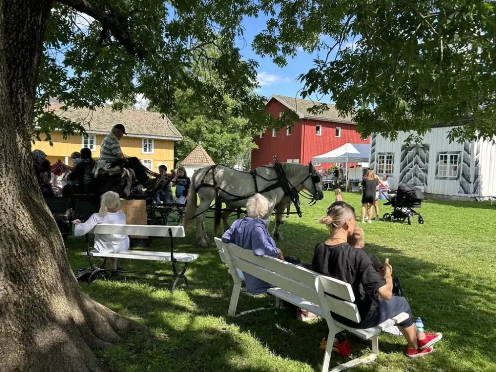 Mange mennesker på tunet under en aktivitetsdag på Fossesholm Herregård