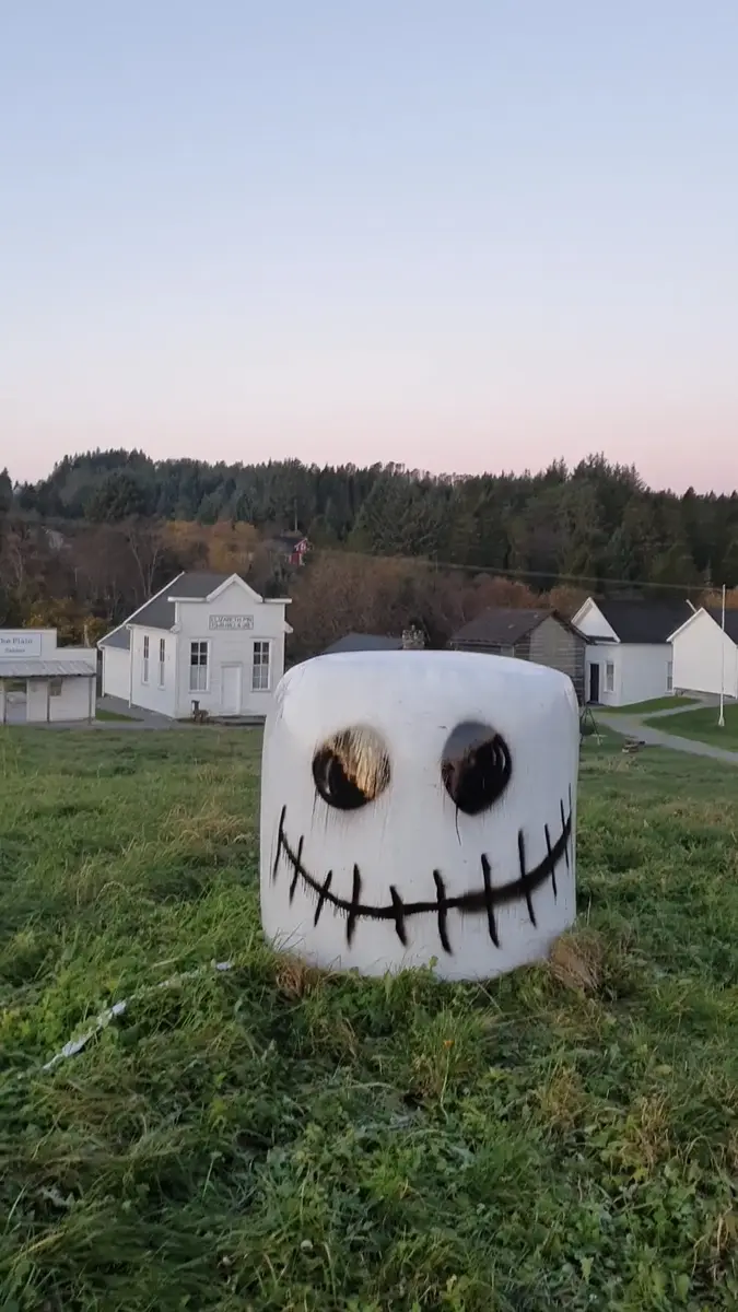 Traktoregg med skjelett ansikt. Prærielandsbyen i lett rødmende kveldslys