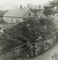 Garden Haugamorka (Hagamork, Haugamork) i Gjesdal. Gammal fj