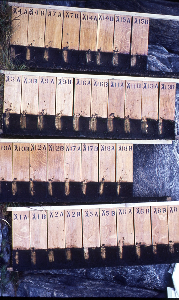 Svenska Oljeaktiebolagets (SOAB) testanläggning ute i Hönö Röd i anslutning till Ersdalen hösten 1975.  Testplattor för vaspalkylder. Med på besöket denna dag, förutom fotografen Leif Augustsson (1925-1998) var Bertil Skoglund och Ingvar Ingvarsson.