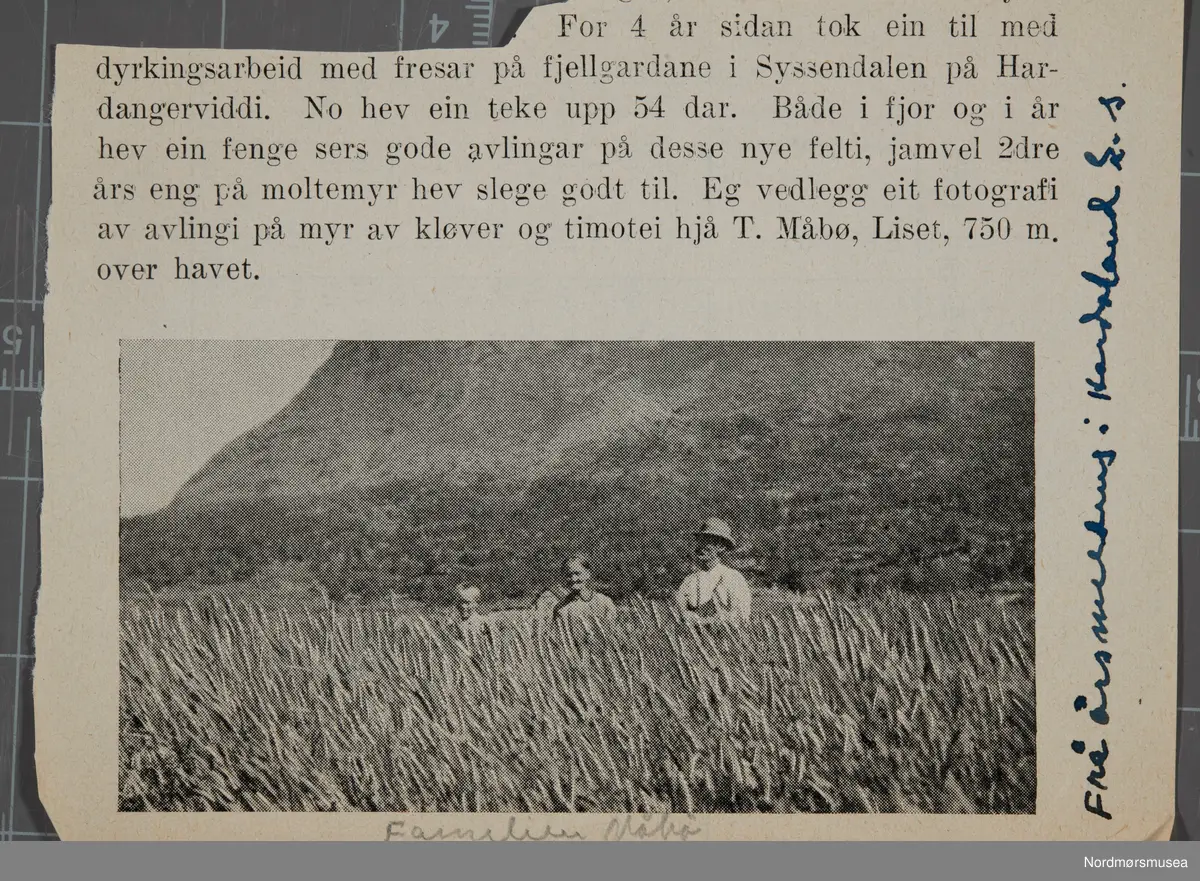 Familien Måbø. Et foto fra fotosamlingene til Nordmørsmusea AS og Norsk myrmuseum.