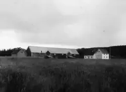 Det Norske Myrselskaps Forsøkstasjon, Mære i Trøndelag. Date