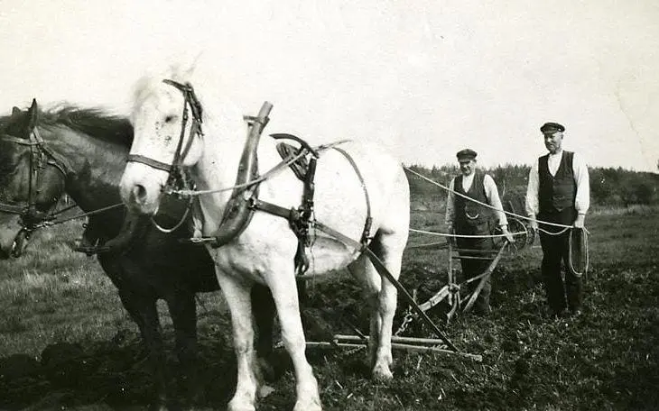 Bröderna Bengtsson på åkrarna nedan för boningshuset på nuvarande Vommedalsvägen, 1930-tal. 