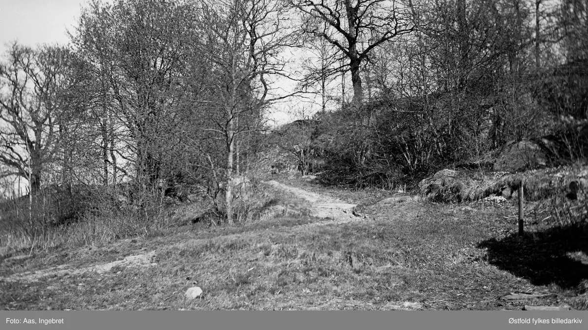 Vei til Ferjestan, Solli Tune ca. 1935-36. Fergested/gjestgiveri på Kongsveien til Kristiania.
Dronning Desiderias lund også kalt Desiderialunden.