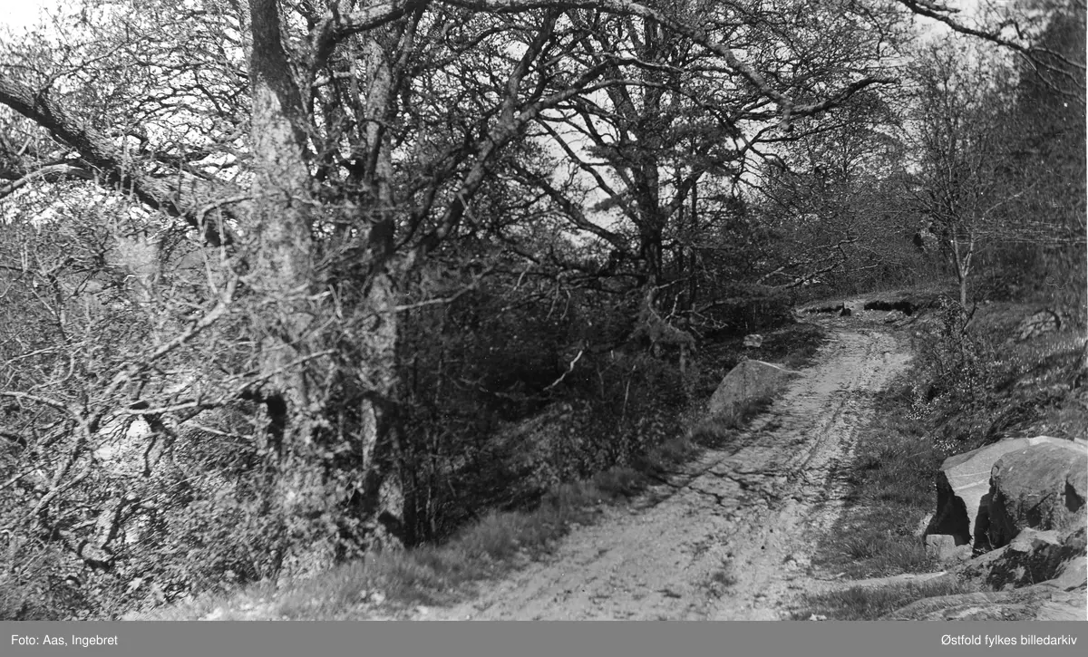 Vei til Ferjestan, Solli Tune ca. 1935-36. Fergested/gjestgiveri på Kongsveien til Kristiania.
Dronning Desiderias lund også kalt Desiderialunden.

Påskrift med fyllepenn på bakside av bildet undertegnet I. Aas (fotografen) 1936: 
"Veien ned til gjestgiveriet på nordsiden av Solli kapell. Øverst går en skarp fjellkam tvers over veien og nedenfor er et flatt skjer med et fall i forkant, som  vognene har kommet over.Denne vei blev brukt inntil omkring 1915-20, da bilene kom. Som det sees på billedet svinger veien til venstre forbi gjestgiveriet og videre nedover bakken til ferjestedet. Da Solli bru blev bygget og ferjestedet ophørte, blev det lagt vei på sydsiden av Solli kapell." Det er mer tekst, men denne ha Aas strøket over, så den skulle ikke med.