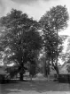 Östraboallén sett från Östrabos gårdsplan, ca. 1932.