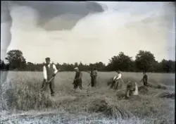 Bild 70. Rygskärning bäi Kuse i Västarhaidä