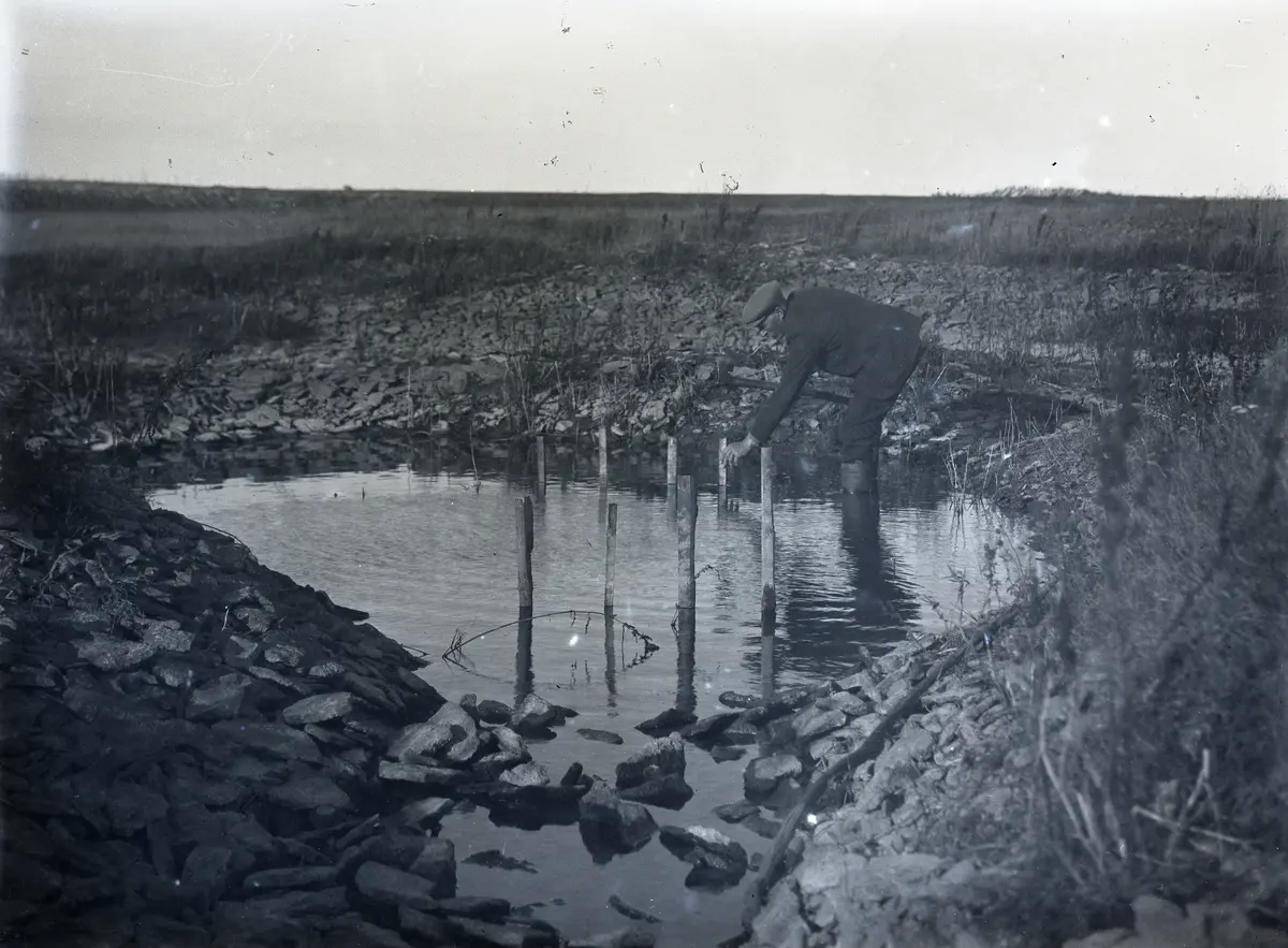 En del i beredningsprocessen var rötningen. Botels Lars Hansson slår ner pinnarna för att linknippena inte skall flyta iväg, troligen i en av vattenhålen vid Lunds vät på Lausbackar omkring 250 m öster om Bjärges norra part.
