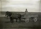 Lastvagnen hade ett flak med sidor i ett stycke. Oskar Larsson kör med tvåspann hästar, men med vad i det öppna landskapet?