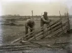 Hallsarve Oskar och Hans Karlsson sätter om en gammal tvåbandstun, man har blandat nytt och gammalt virke. Fadern Hans knyter i den uppvärmda underbanden och sonen Oskar knyter i överbanden, inte styttstaursbanden, för det står ingen styttstaur, stödjande sidostör, där. Rätt klena och krokiga stör tyder på materialknapphet.

Bilden ser ut att vara tagen väster om Fie JO Larssons, kyrkan skymtar t h och troligen är det Sunnkörke som syns t v. Se Nr 212.