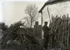 Stör tog man av ene, i nödfall av grangrenar. Stören skulle kares, dvs barken skulle huggas av på minst tre håll och sedan skulle stören spetsas och ställas upp för torkning med den spetsade ändan uppåt.

Här står Fäi-Jakå och karar staur bakom ladugården en solig aprildag. Egentligen borde han ha gjort det här arbetet tidigare, så här dags var det tid för vårbruket. Och ännu har han mycket stör att ta hand om, det ligger en stor hög okaren staur bakom honom. Ovanför porten skymtar den ruckliga väderkvarnen.