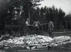 Nu har man satt in, staplat, all tjärved man vill ha till soidet. Men det skulle få plats med mer. I förgrunden ligger en dusrake. Man bjuder varandra på en pris snus!