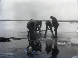 Mathias Klintbergs Laufotografier