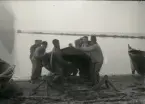 Här hjälps troligen tre båtlag åt att dra upp båten på stranden. En båt skulle vara sjösäker och helst lättrodd, men också grundgående, så man lätt kunde dra upp den på stranden, några hamnar med bryggor fanns inte.

Längst t h står Bönde Jakob Pettersson, längst ner t v står troligen Bjärges Lars Östman, nr 3 nerifrån t h är sannolikt Hemmor Johan Olsson. Se Bild 408!