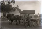 Hallsarve Ferdinand Jakobsson skall köra iväg och sälja strömming, kanske får sonen Hjalmar följa med. De kör med fin vagn och tvåspann hästar.

I bakgrunden syns en manbyggnad och flygel, men de är inte Ferdinands.