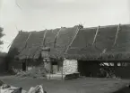 Det var inte bara manbyggnaden och brygghuset som var ålderdomligt på denna part, det var delvis uthusen också. Fähuset t v i bulteknik med agtak är riktigt gammalt, så här smala och låga var ladugårdarna på 1600-talet. Troligen är den en rest av en större ladugårdslänga. Den innehöll två fähus, eftersom dörrarna är smala är det nog fråga kohus, möjligen kan det ena vara lamm- och grishus. I senare tid har man lagt in små fönster invid dörrarna. Utanför ligger en höhög. Men vad 