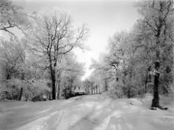 Enligt bildbeskrivning: Vinterväg

Gustafsbergsvägen.

Stämp