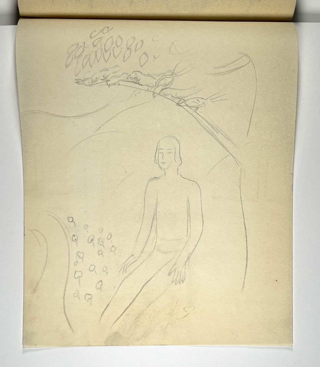 Skissebok, brun med svart rygg, liggende format, står Hans Gjesme frampå, ein del datert 1928, mykje mannsakt, mange frå Draumkvedet, katten, hest med stå, interiør.